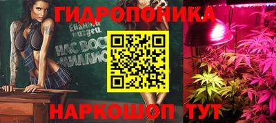 мдма Кингисепп