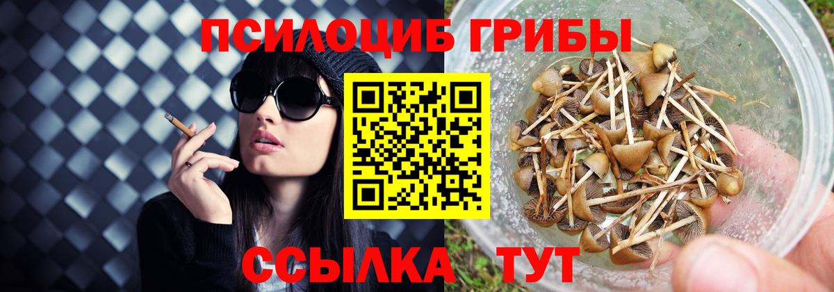 Галлюциногенные грибы мицелий  Вход с VPN  Кимовск 